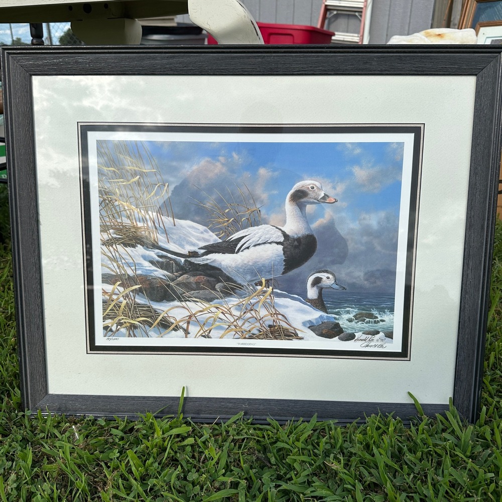 Harold Roe Forbidding Signed Number 80/2000 Duck Wildlife Art Framed Print 1990